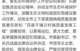 东莞市市长吕成蹊：会上大讲发展经济植绿林、促进民生讲作风，脸红不